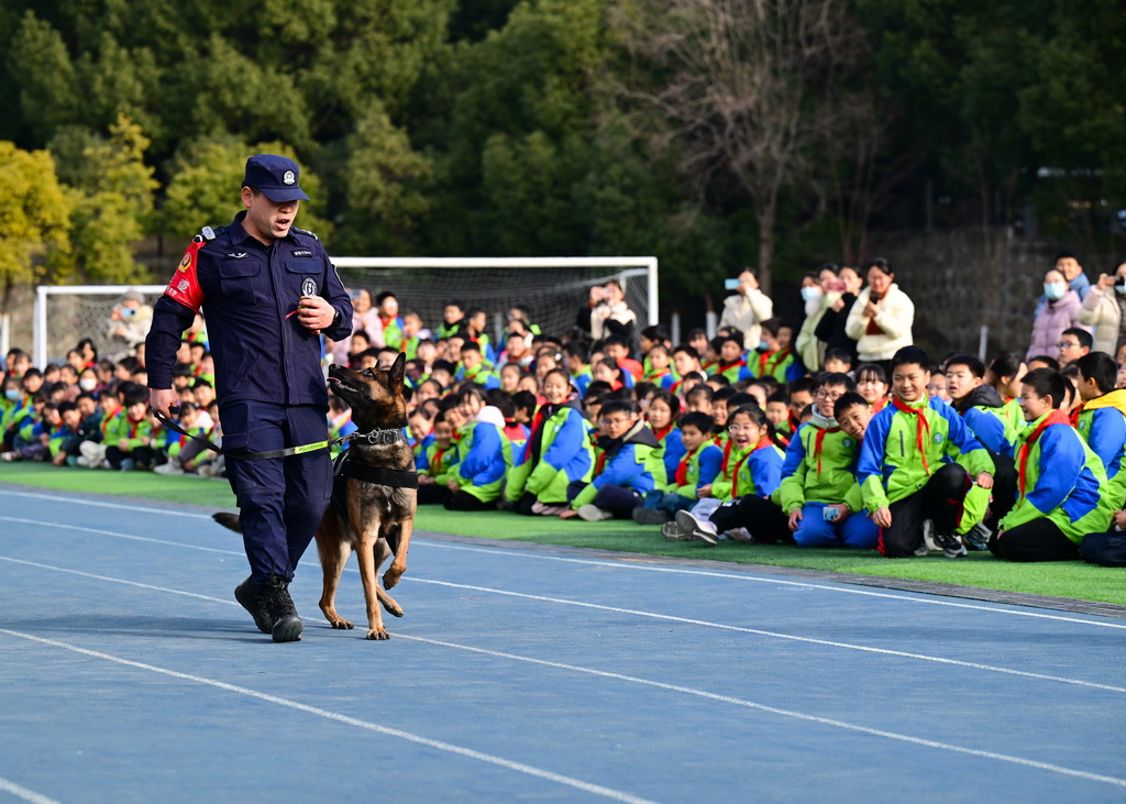1月7日，小朋友在活動現(xiàn)場觀看警犬訓(xùn)練。